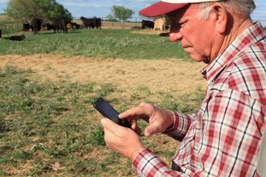The Future of Farming: How Agri-Tech is Changing the Game
