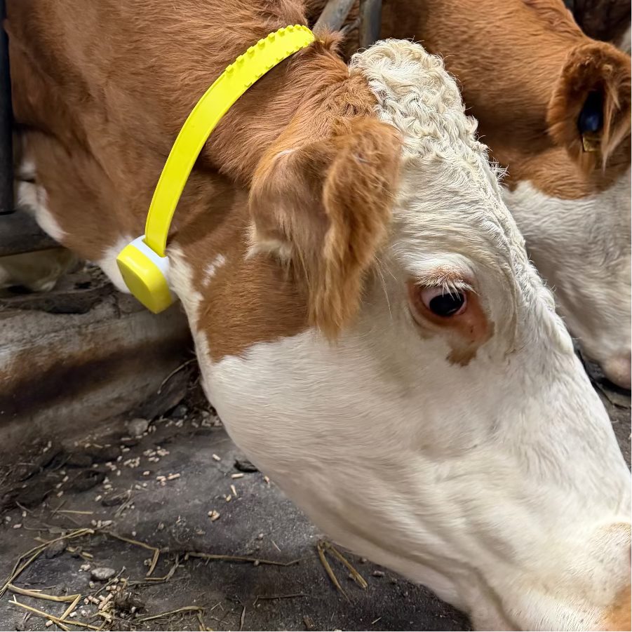 RTID Tracking Package 150 animals - 30x RTID GW + 120 RTID Smart