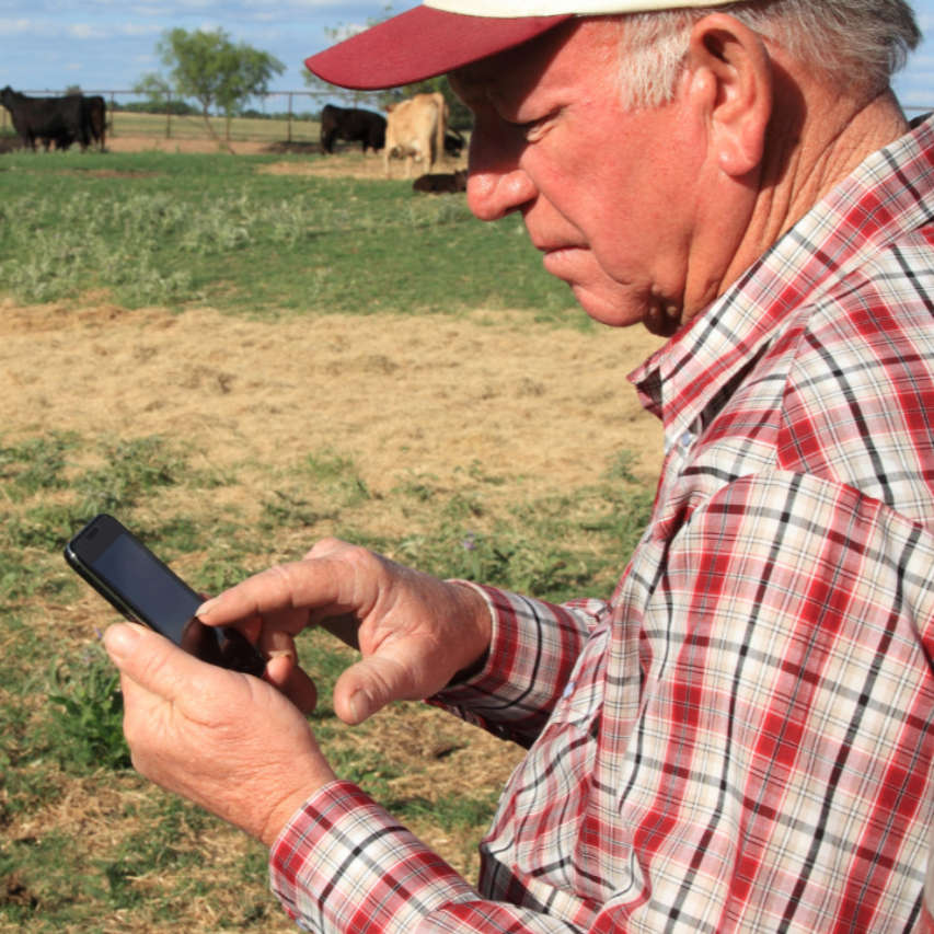 RTID Smart For Tracking Animals