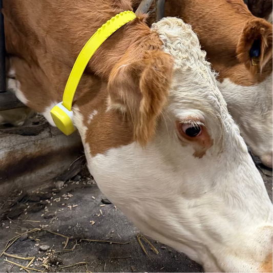 New RTID Gateway - a revolution